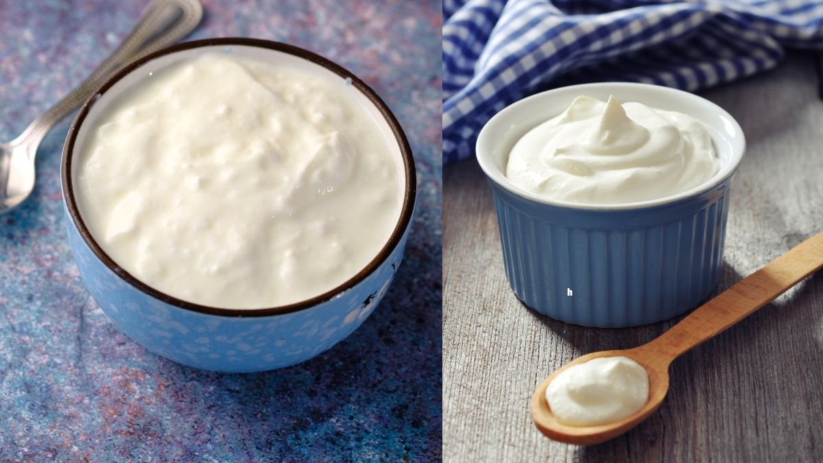 Greek Yogurt VS Curd: ज्यादा प्रोटीन किसमें? सेहत के लिए कौन है सुपरफूड—दही या ग्रीक योगर्ट?